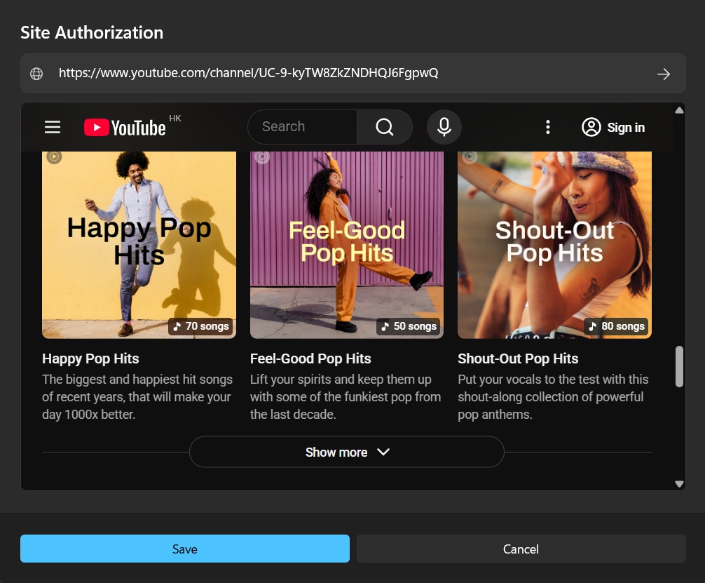 Spark Video Downloader advanced features website sniffer and format conversion